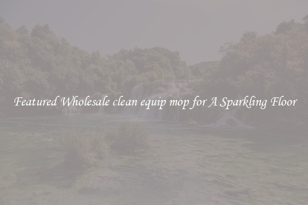 Featured Wholesale clean equip mop for A Sparkling Floor