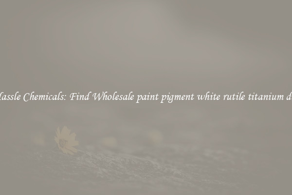 No Hassle Chemicals: Find Wholesale paint pigment white rutile titanium dioxide