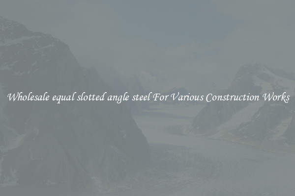Wholesale equal slotted angle steel For Various Construction Works