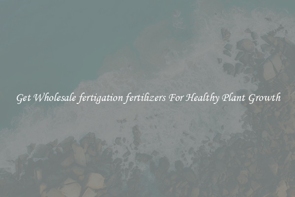 Get Wholesale fertigation fertilizers For Healthy Plant Growth