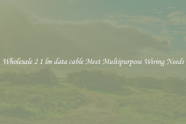 Wholesale 2 1 lm data cable Meet Multipurpose Wiring Needs