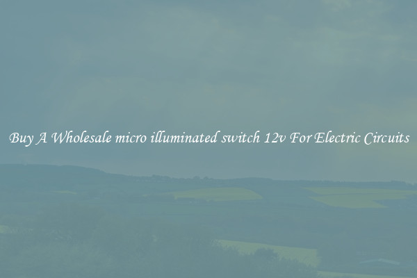 Buy A Wholesale micro illuminated switch 12v For Electric Circuits