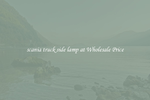 scania truck side lamp at Wholesale Price