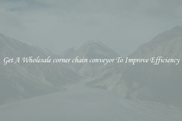 Get A Wholesale corner chain conveyor To Improve Efficiency