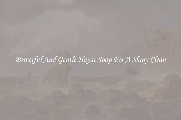 Powerful And Gentle Hayat Soap For A Shiny Clean