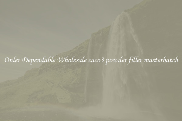 Order Dependable Wholesale caco3 powder filler masterbatch