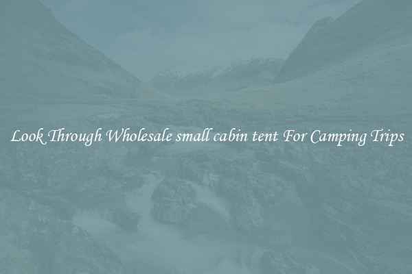 Look Through Wholesale small cabin tent For Camping Trips