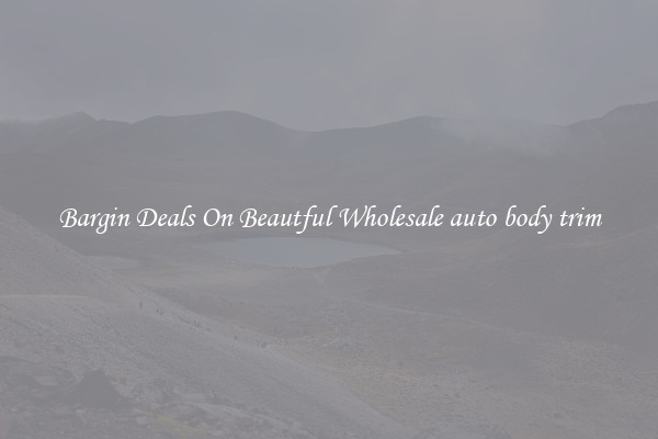 Bargin Deals On Beautful Wholesale auto body trim