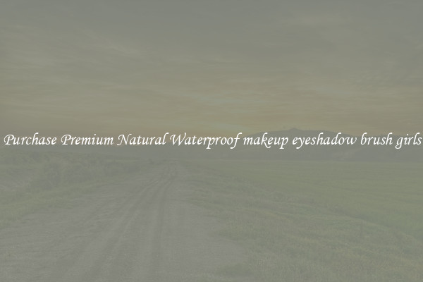 Purchase Premium Natural Waterproof makeup eyeshadow brush girls