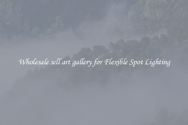 Wholesale sell art gallery for Flexible Spot Lighting