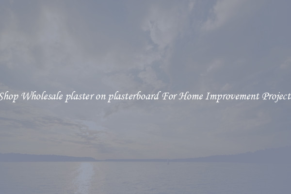 Shop Wholesale plaster on plasterboard For Home Improvement Projects