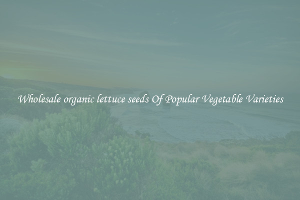 Wholesale organic lettuce seeds Of Popular Vegetable Varieties