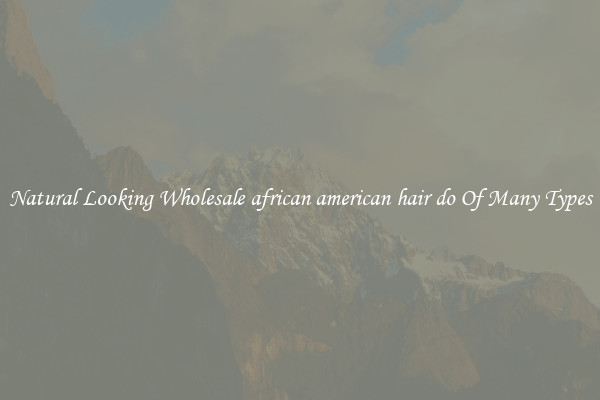 Natural Looking Wholesale african american hair do Of Many Types