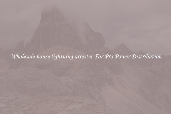 Wholesale house lightning arrester For Pro Power Distribution