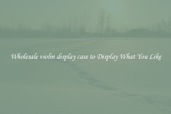 Wholesale violin display case to Display What You Like