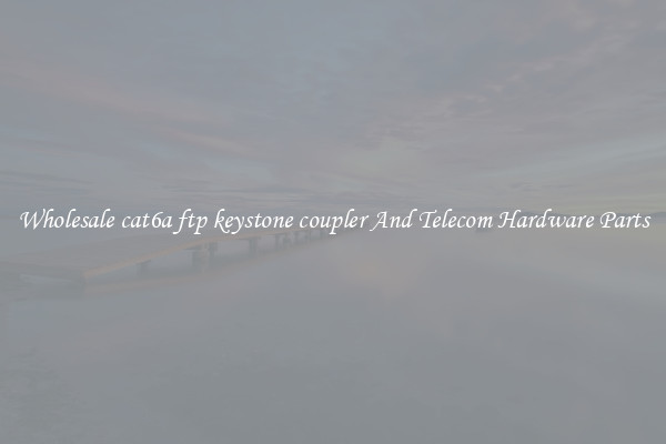 Wholesale cat6a ftp keystone coupler And Telecom Hardware Parts