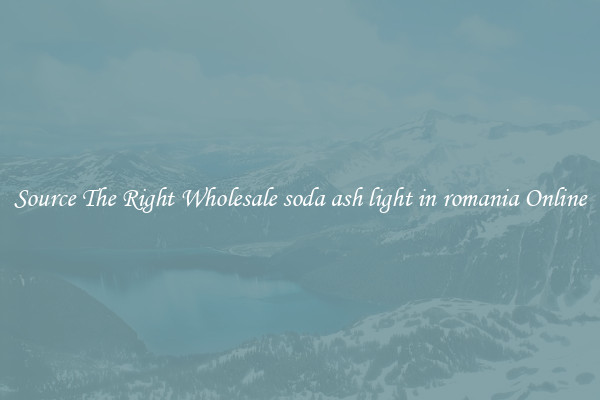 Source The Right Wholesale soda ash light in romania Online